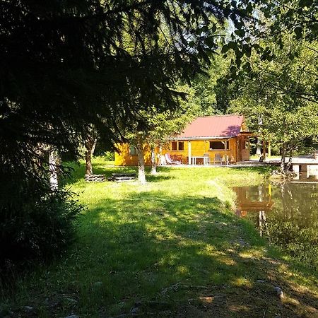 Insolite Chalet De Peche Serenite - Bien Etre Ban-sur-Meurthe-Clefcy ภายนอก รูปภาพ