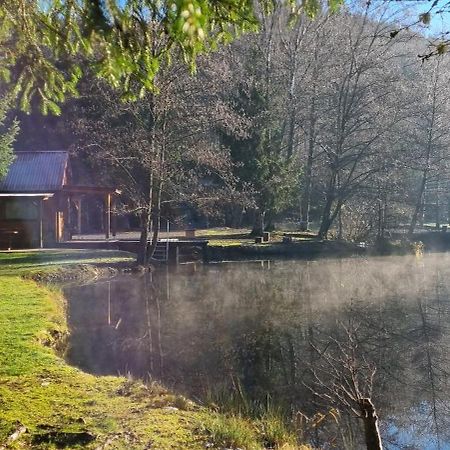 Insolite Chalet De Peche Serenite - Bien Etre Ban-sur-Meurthe-Clefcy ภายนอก รูปภาพ