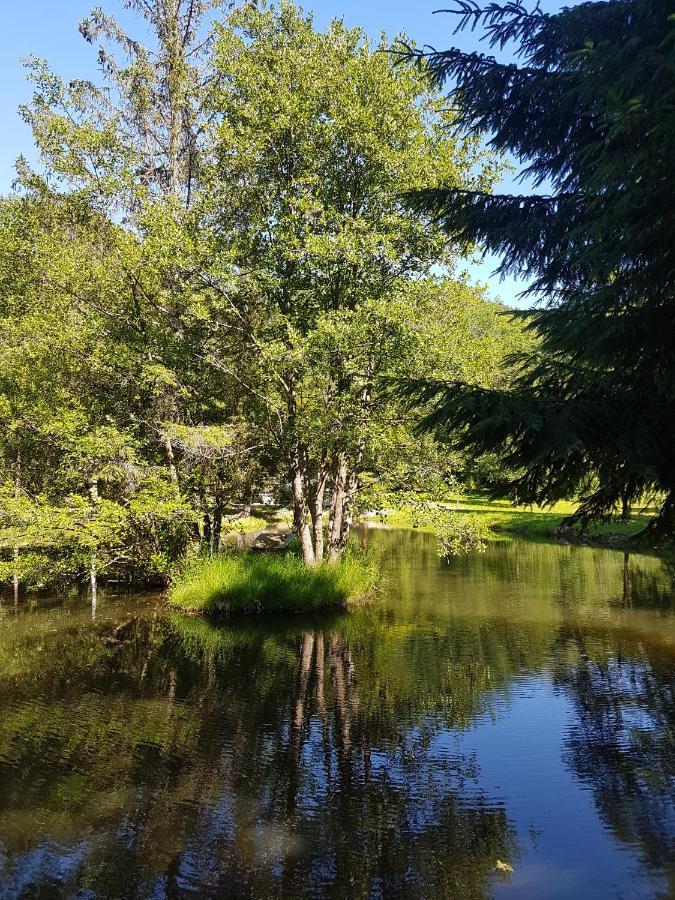 Insolite Chalet De Peche Serenite - Bien Etre Ban-sur-Meurthe-Clefcy ภายนอก รูปภาพ