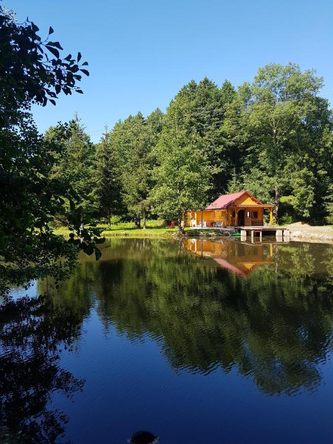 Insolite Chalet De Peche Serenite - Bien Etre Ban-sur-Meurthe-Clefcy ภายนอก รูปภาพ