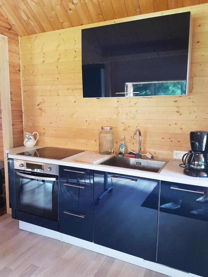 Insolite Chalet De Peche Serenite - Bien Etre Ban-sur-Meurthe-Clefcy ภายนอก รูปภาพ