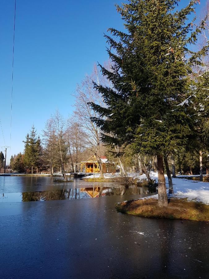 Insolite Chalet De Peche Serenite - Bien Etre Ban-sur-Meurthe-Clefcy ภายนอก รูปภาพ