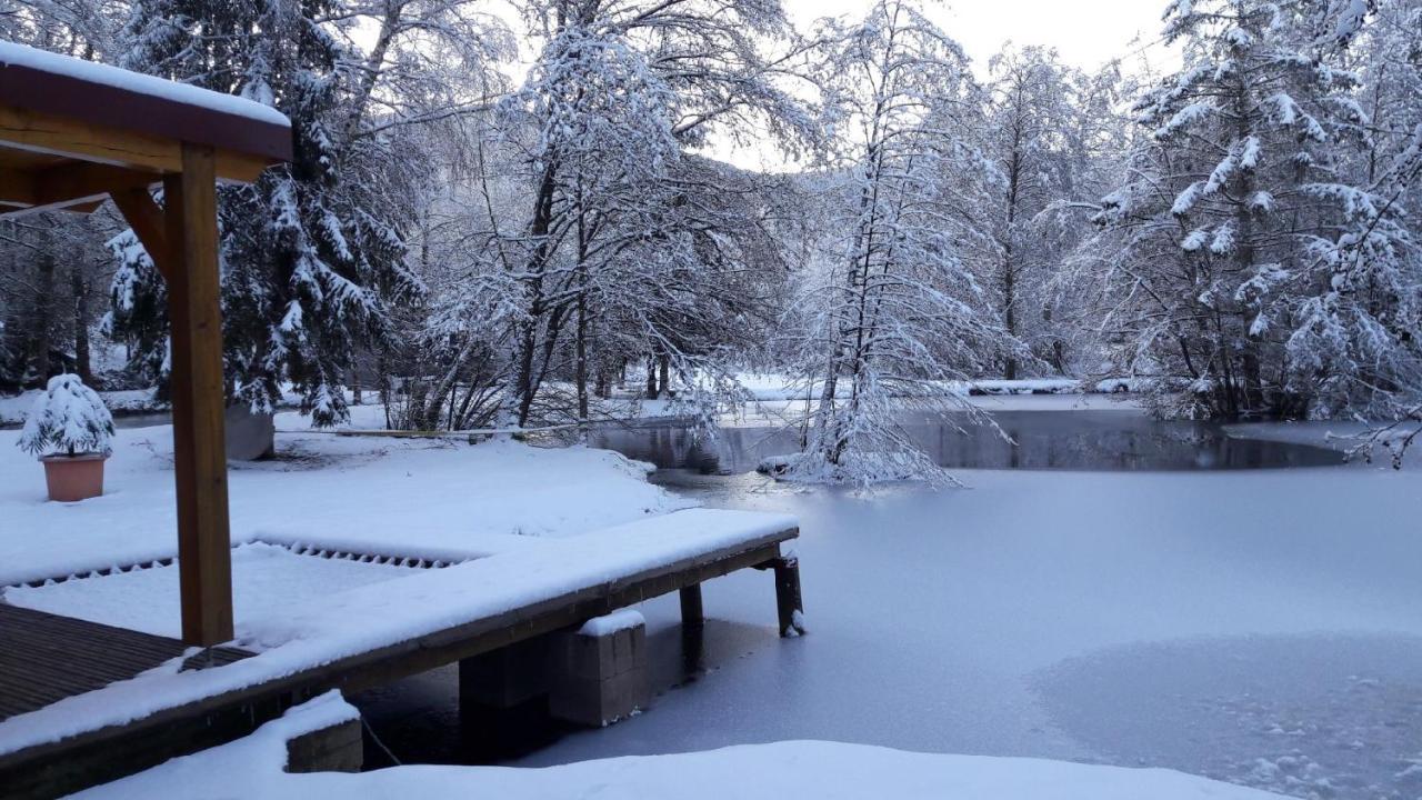Insolite Chalet De Peche Serenite - Bien Etre Ban-sur-Meurthe-Clefcy ภายนอก รูปภาพ
