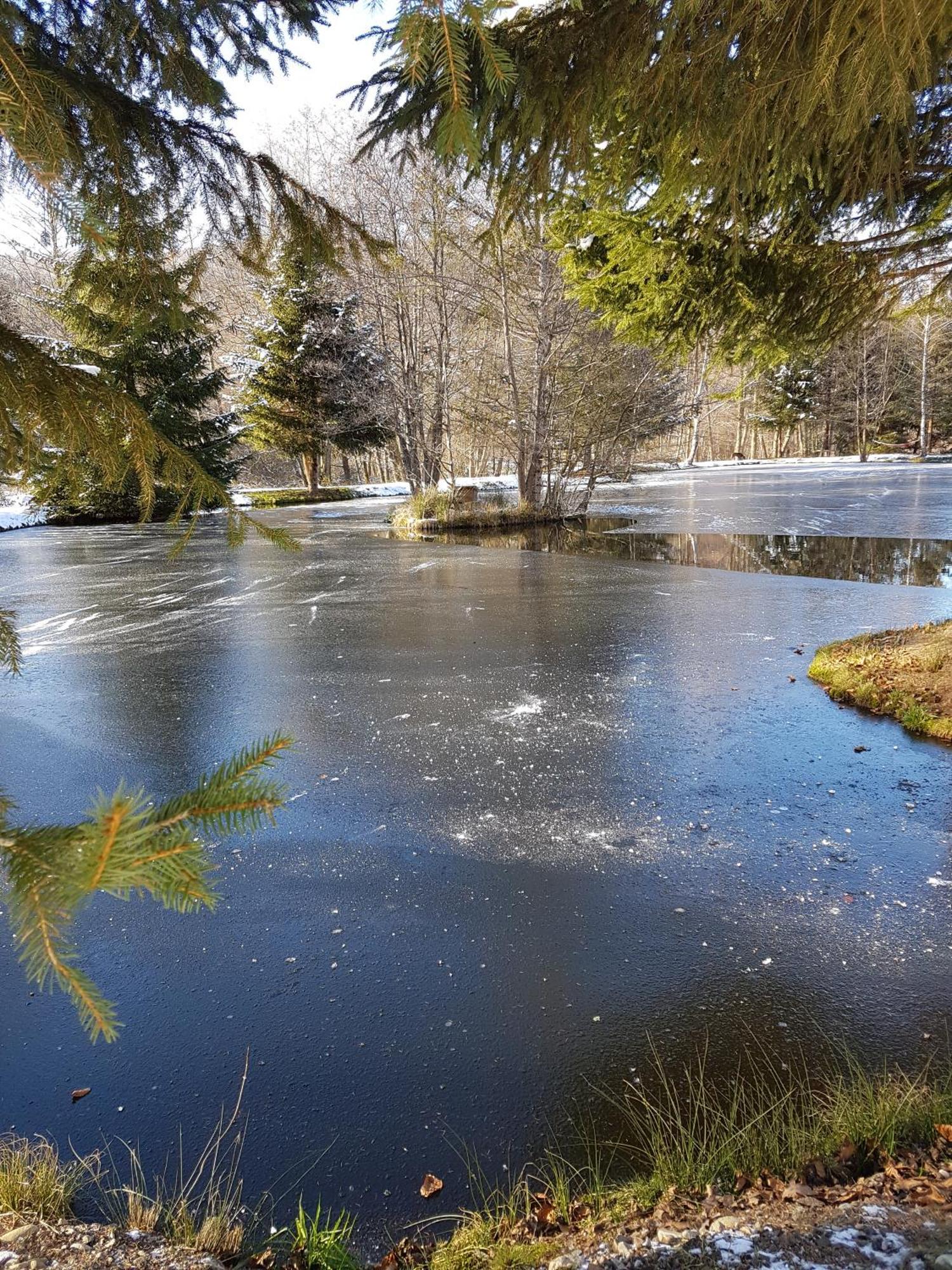 Insolite Chalet De Peche Serenite - Bien Etre Ban-sur-Meurthe-Clefcy ภายนอก รูปภาพ