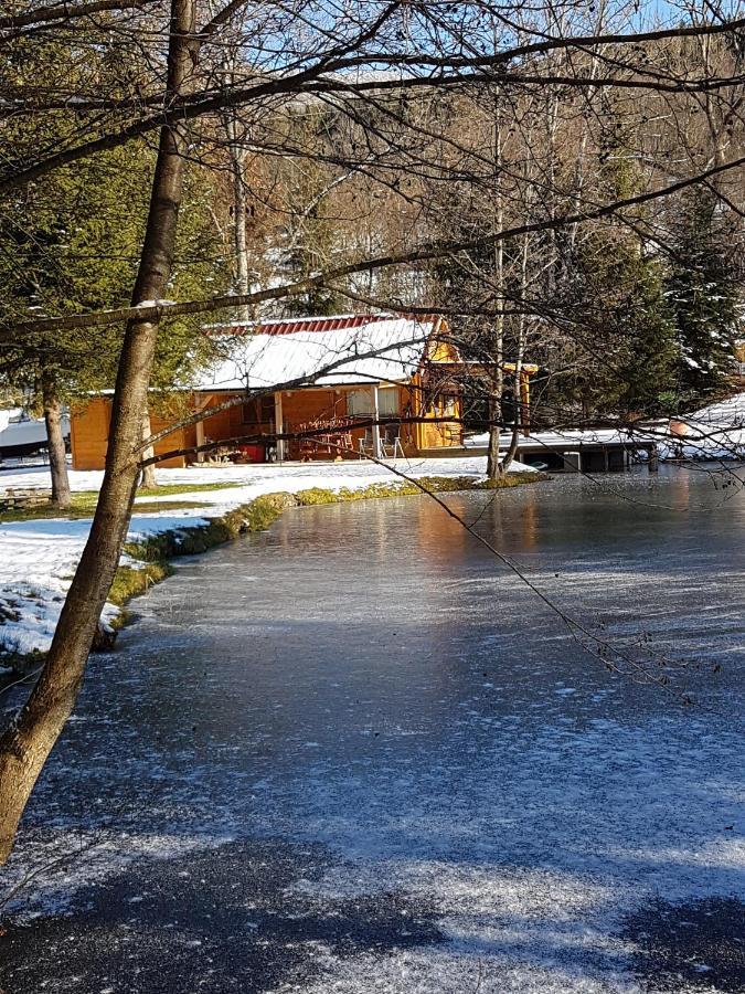 Insolite Chalet De Peche Serenite - Bien Etre Ban-sur-Meurthe-Clefcy ภายนอก รูปภาพ