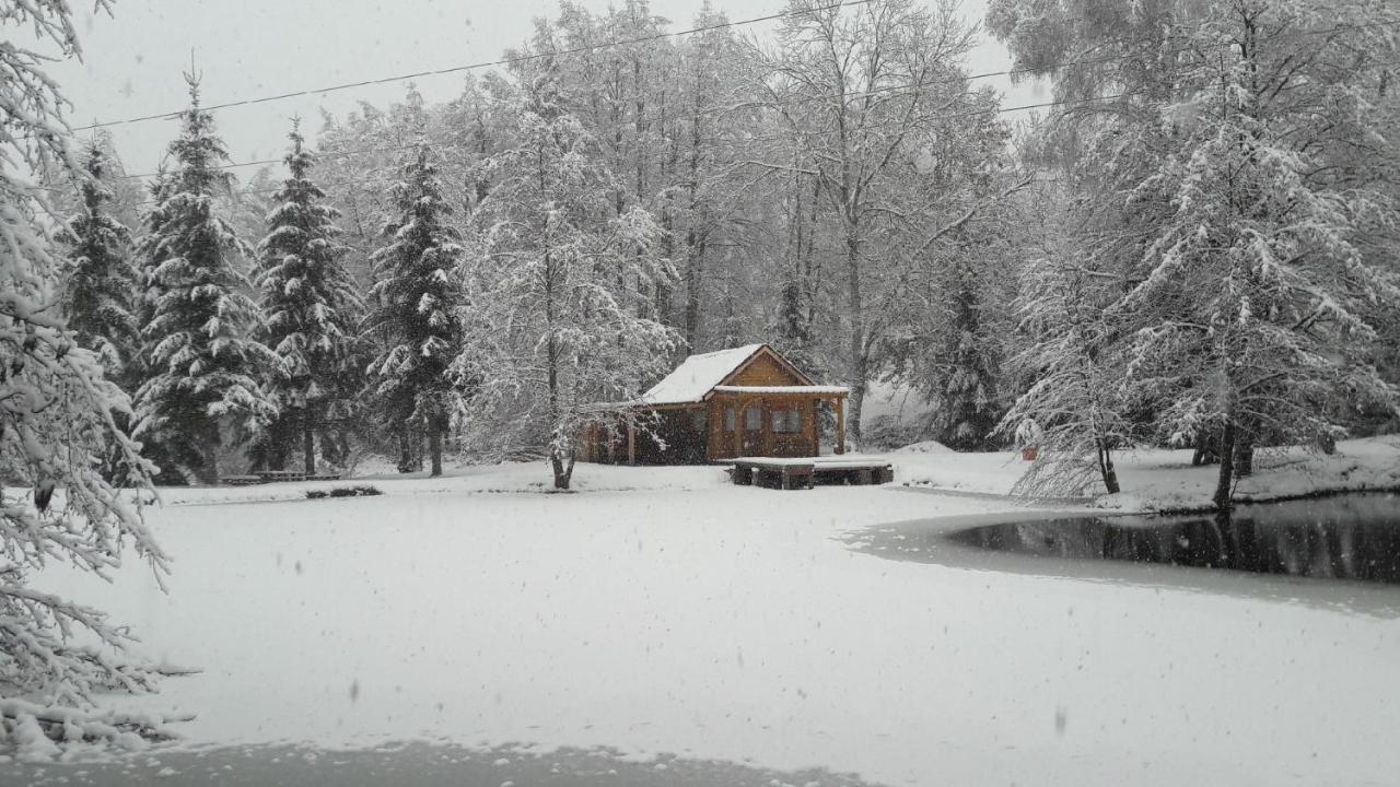 Insolite Chalet De Peche Serenite - Bien Etre Ban-sur-Meurthe-Clefcy ภายนอก รูปภาพ