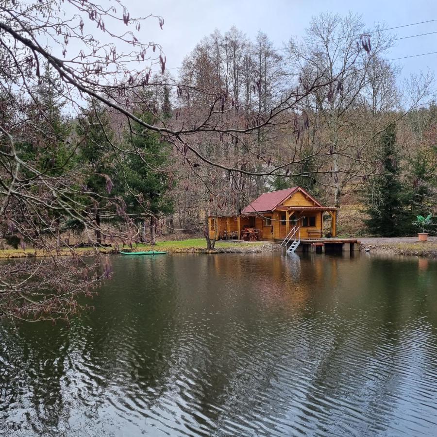 Insolite Chalet De Peche Serenite - Bien Etre Ban-sur-Meurthe-Clefcy ภายนอก รูปภาพ