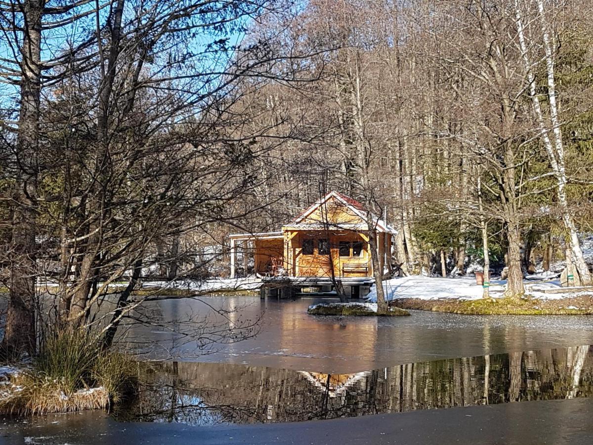 Insolite Chalet De Peche Serenite - Bien Etre Ban-sur-Meurthe-Clefcy ภายนอก รูปภาพ