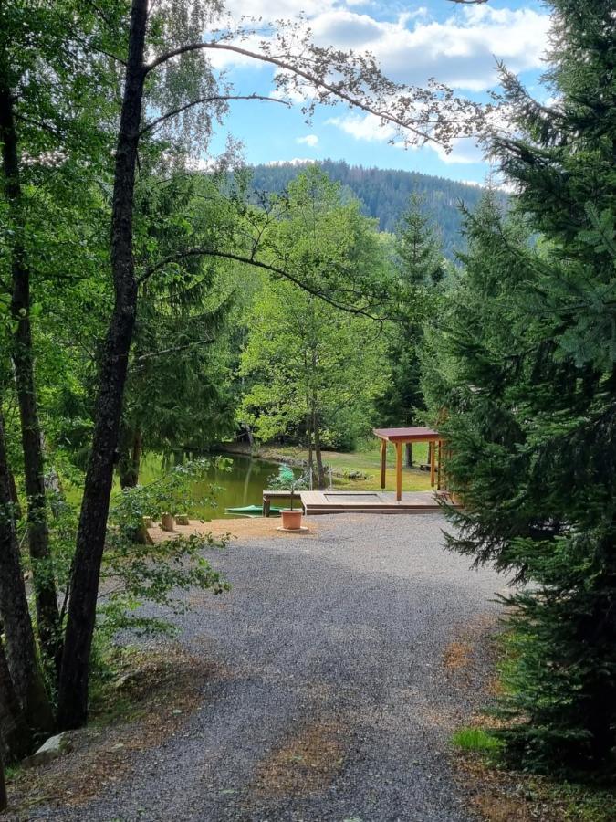 Insolite Chalet De Peche Serenite - Bien Etre Ban-sur-Meurthe-Clefcy ภายนอก รูปภาพ
