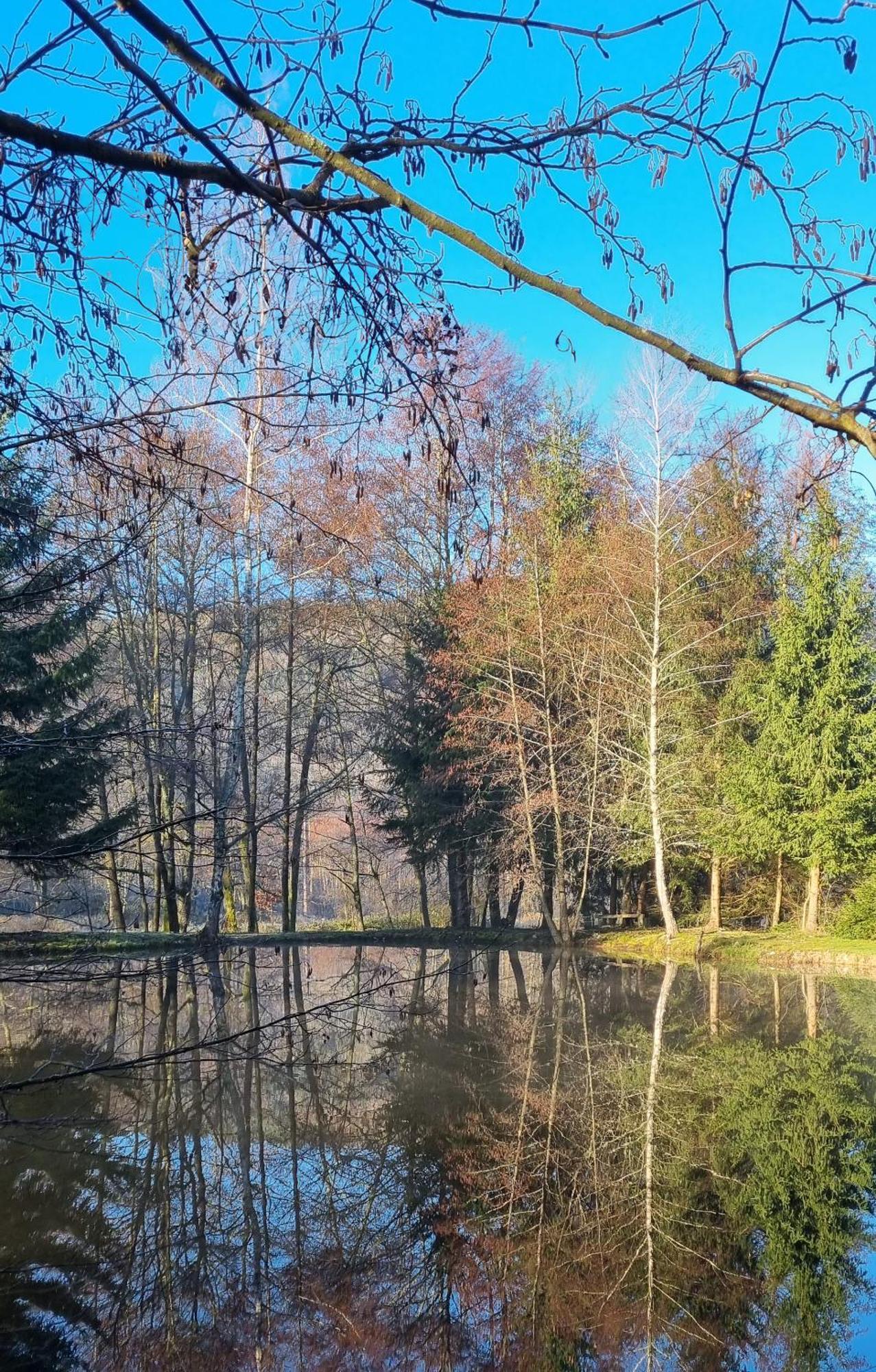 Insolite Chalet De Peche Serenite - Bien Etre Ban-sur-Meurthe-Clefcy ภายนอก รูปภาพ
